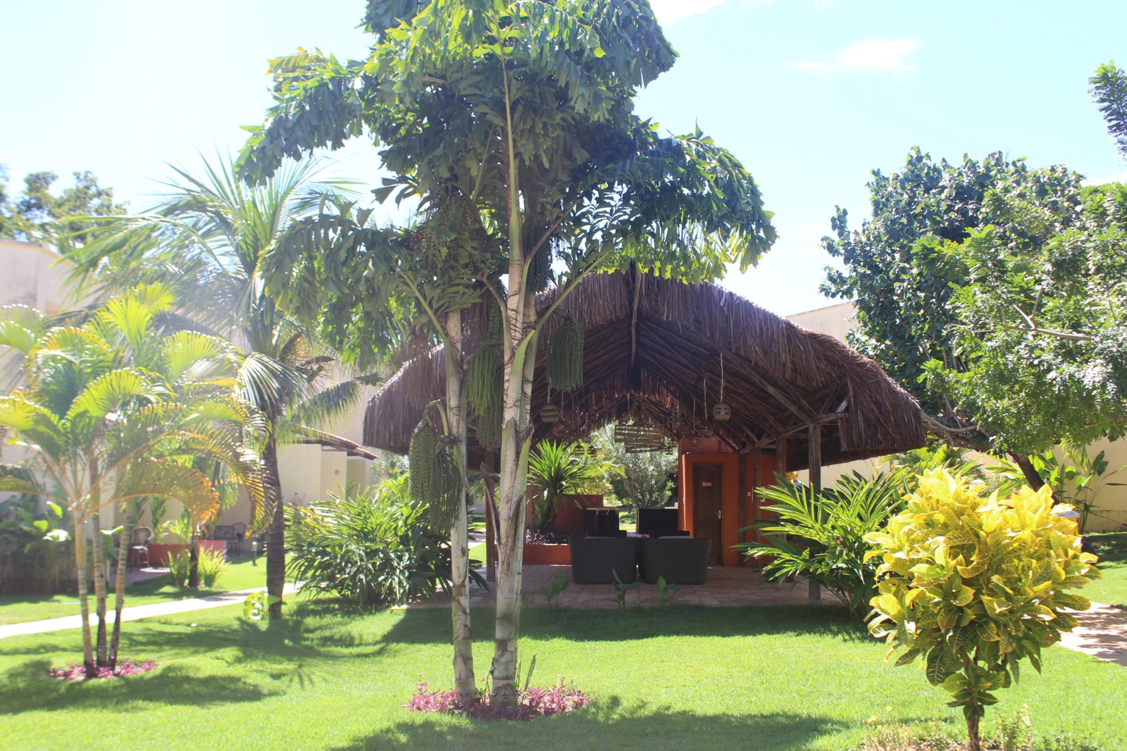 Hotel Pipa Atlantico Praia de Pipa Exterior photo