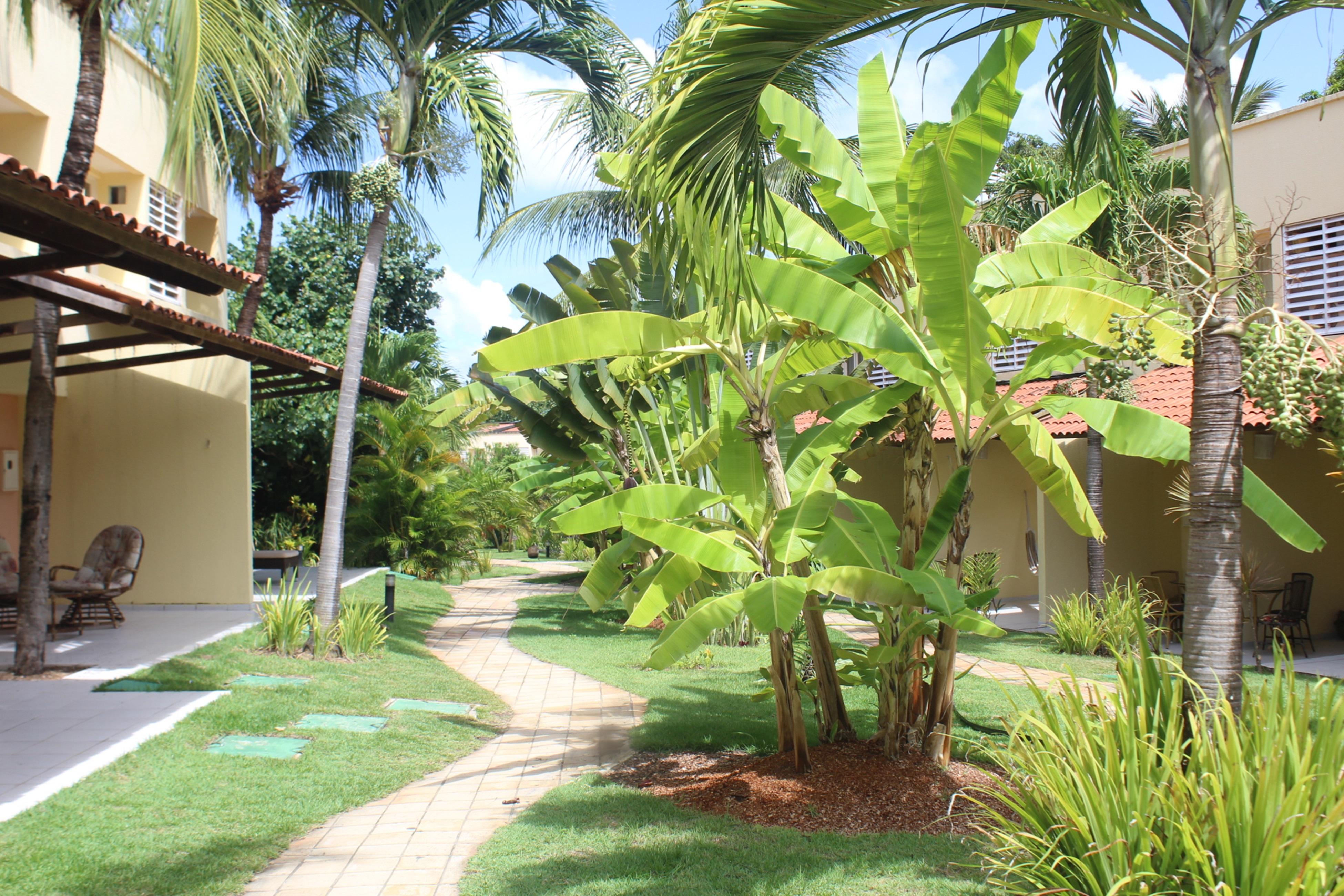 Hotel Pipa Atlantico Praia de Pipa Exterior photo
